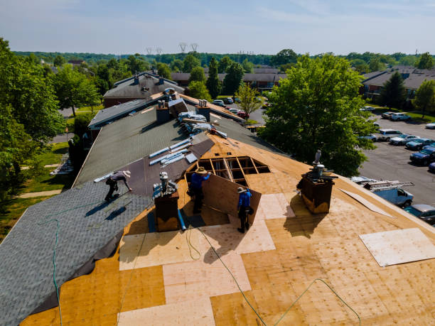 Trusted Roofing service in Olivia, MN - Brentwood Metal Roofing